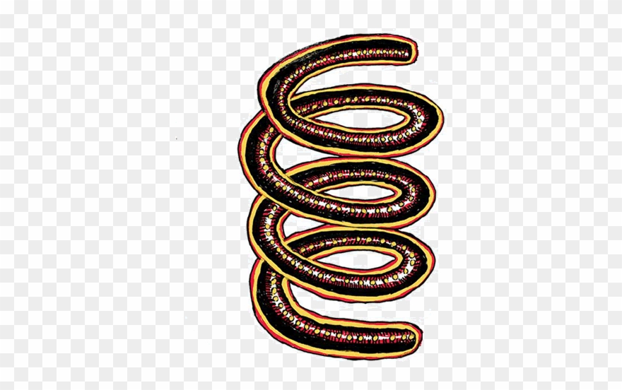 Gira Special Projects - Oval Clipart