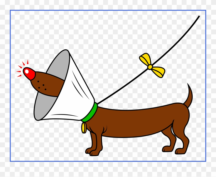 Stunning Dog Biscuits Clipart For Vicious Cartoon And - Dog Surgery Cartoon - Png Download