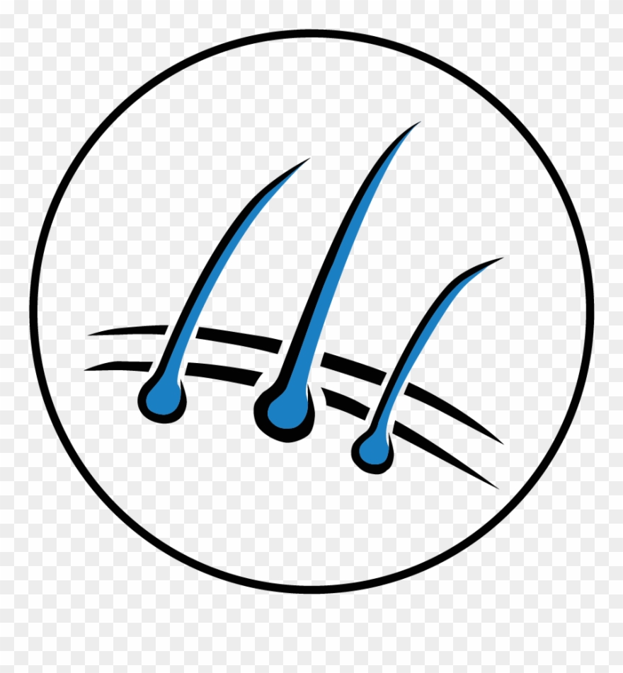 Arion Original Puppy Small Chicken And Rice - Omega-3 Fatty Acids Clipart