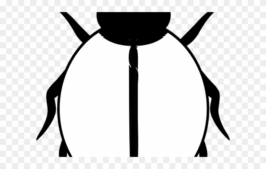 Realistic Clipart Ladybug - Black And White Ladybird - Png Download