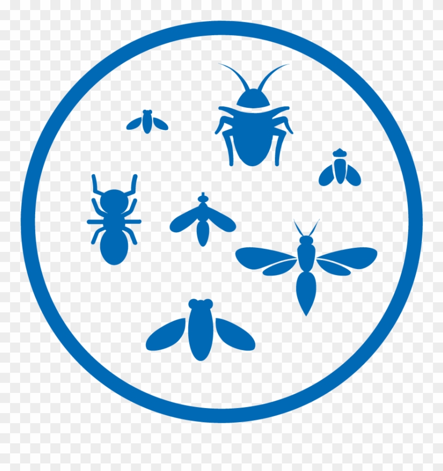 How It Works - Insect Clipart