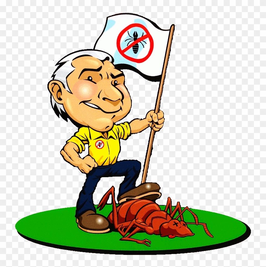 Cockroach Removal - Pest Control Cartoon Clipart