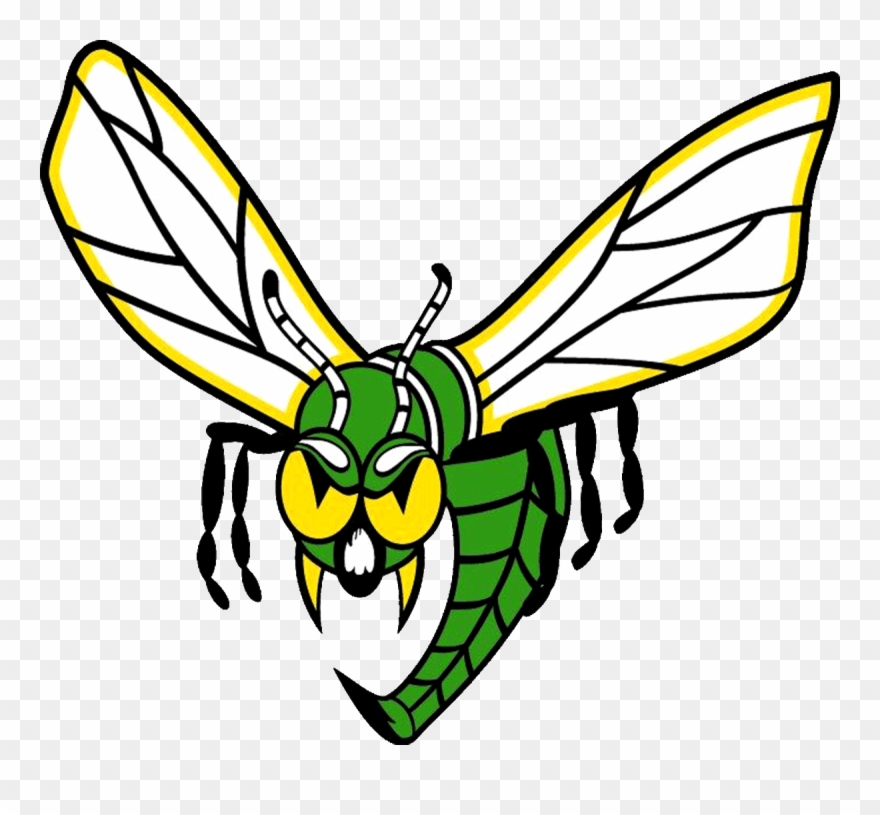 Wasp Facts For Kids - Edina High School Logo Clipart