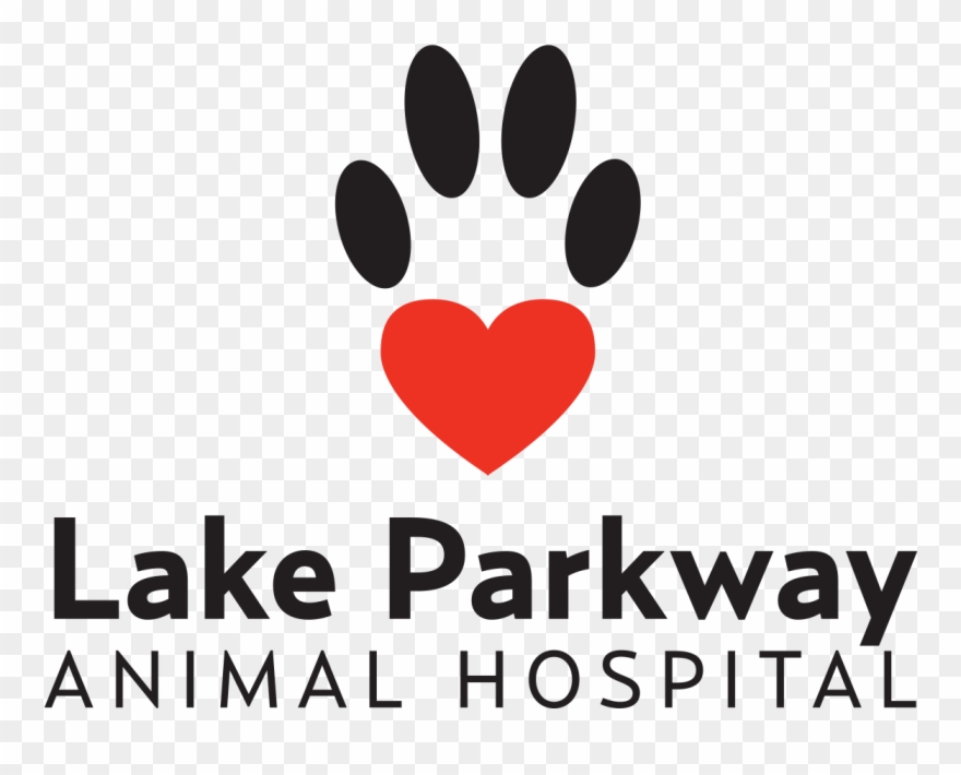 Oral Surgery, Dentistry And Dental Care Hygiene Counseling Clipart