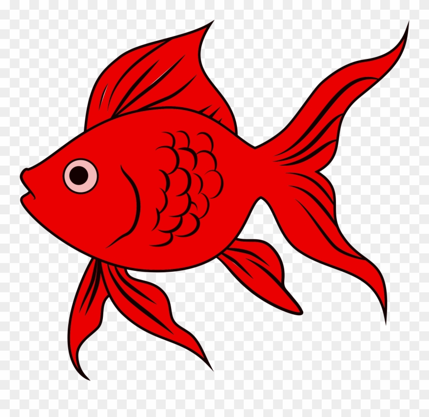 Goldfish Svg - Portable Network Graphics Clipart