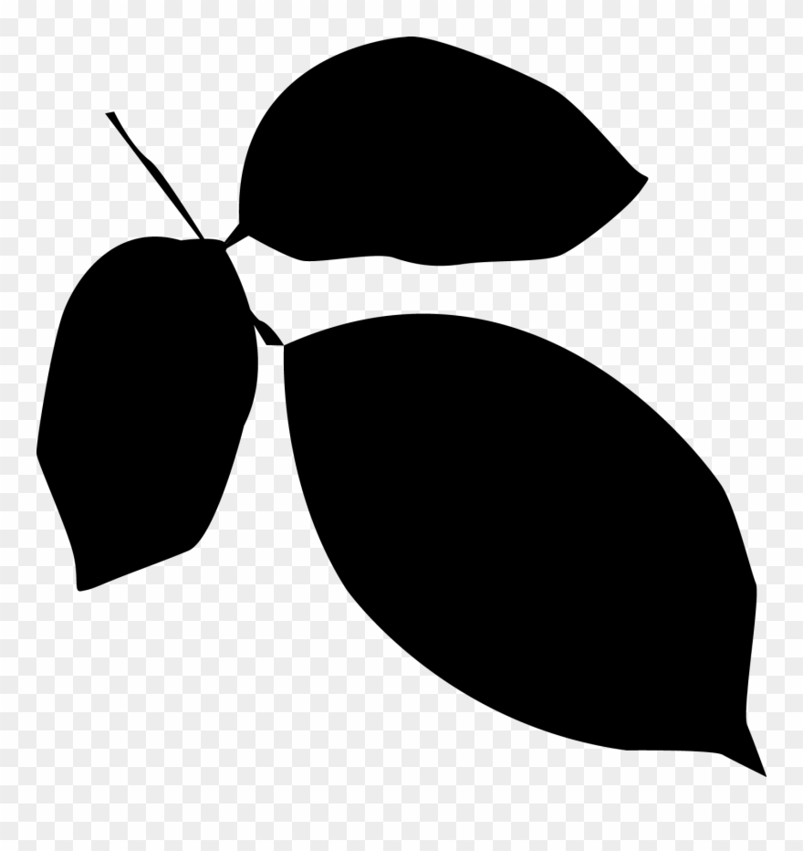 Leaves Silhouette Clipart - Png Download