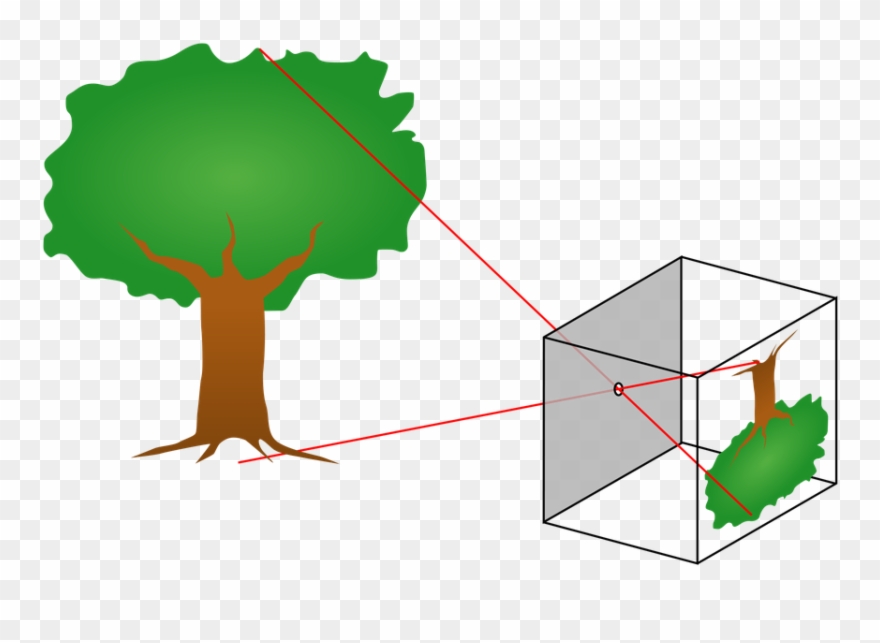 38 Camera Obscura - Function Of A Lens Clipart