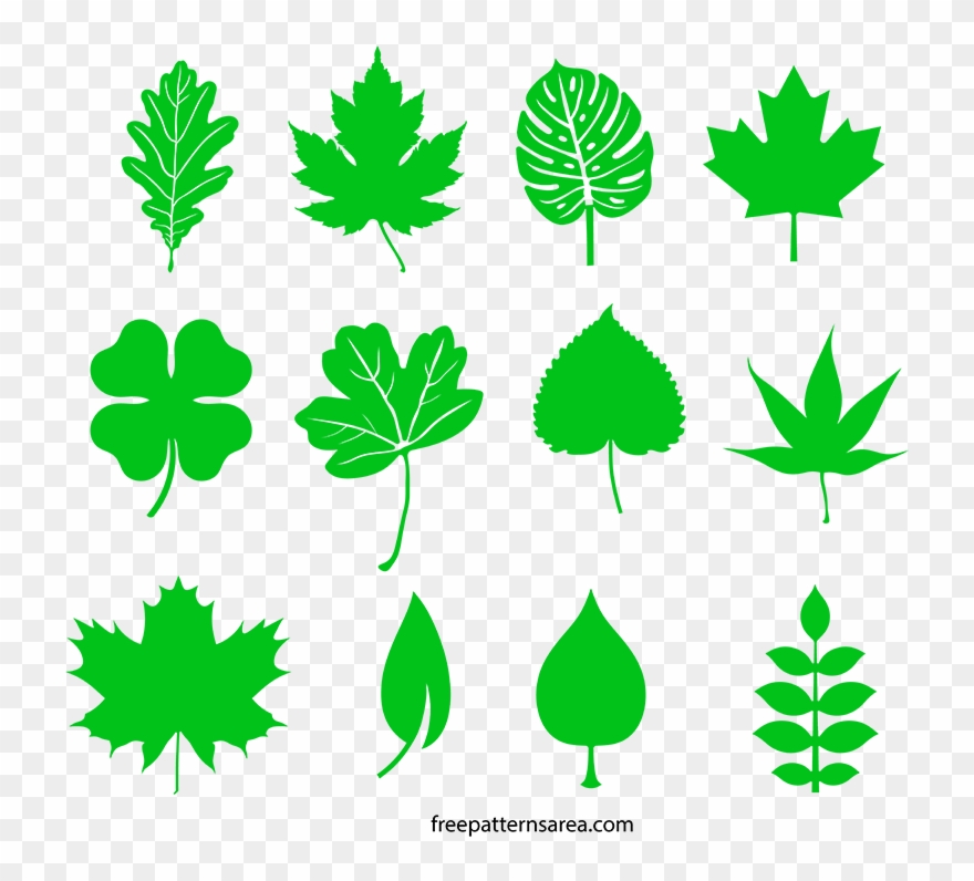 Clip Design Leaf Transparent Library - Canada - Png Download