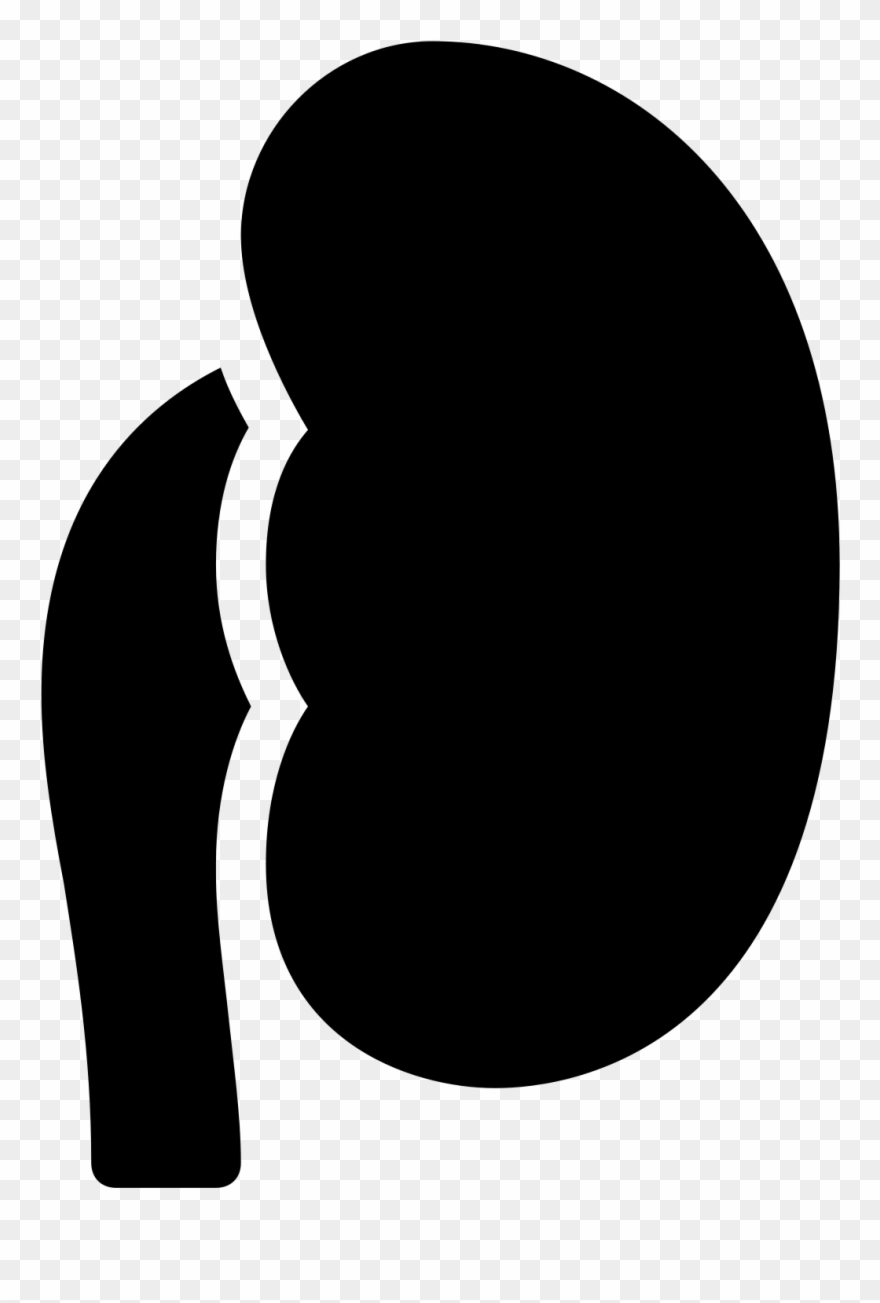 Kidney Filled Icon - Icon Clipart