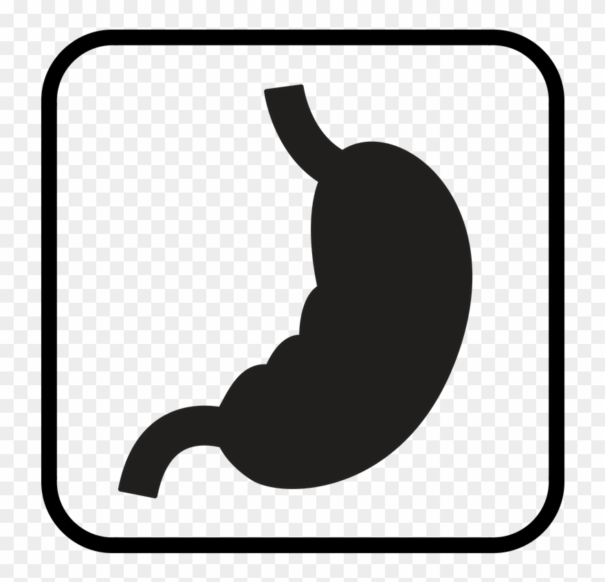 Organ Harvesting There's A Black Market For Hearts, - Organ Clipart