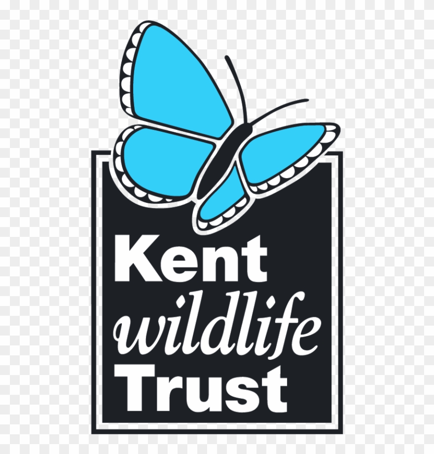 A New Art Exhibition Titled 'together Separately' Is - Kent Wildlife Trust Logo Clipart