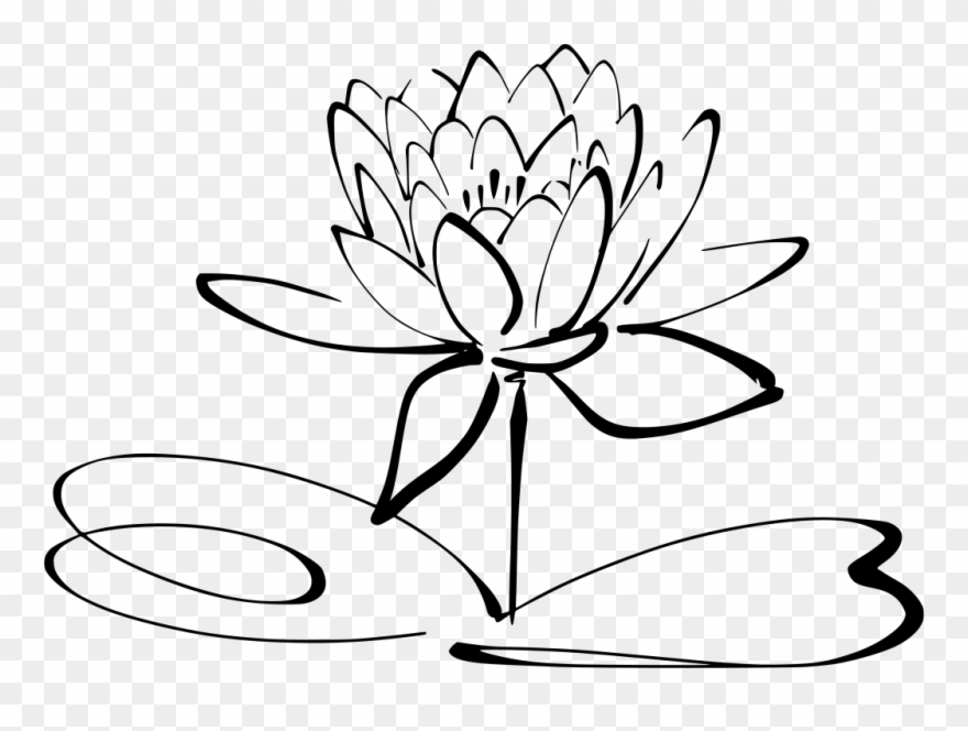 Info - Lotus Flower Black And White Clipart - Png Download