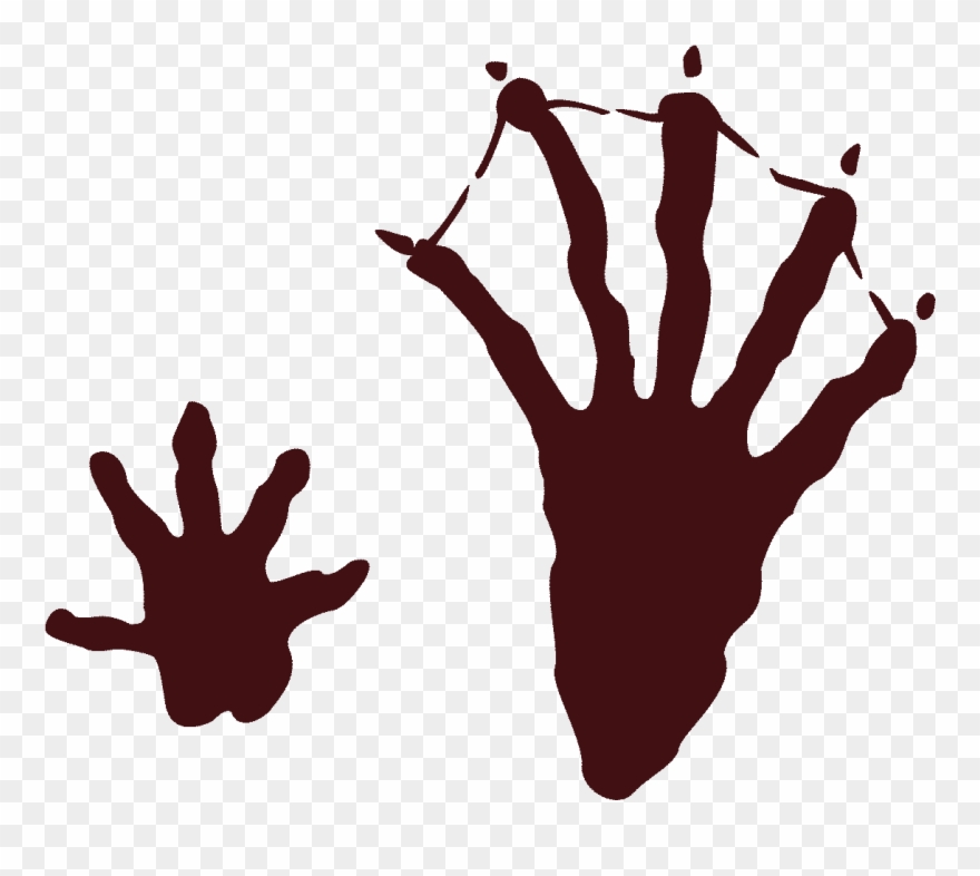 Pennsylvania Still Free Of Chronic Wasting Disease - Beaver Tracks Clip Art - Png Download