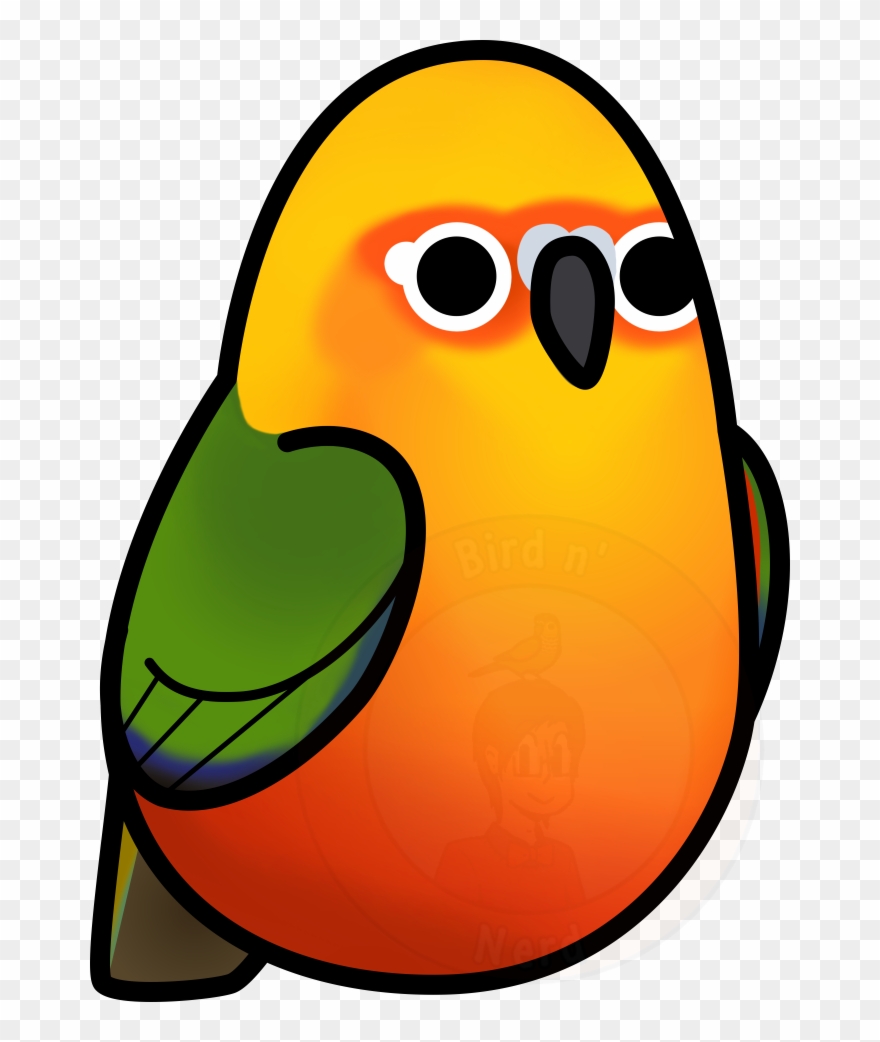 Picture Freeuse Library Too Many Birds Jenday - Conure Clipart