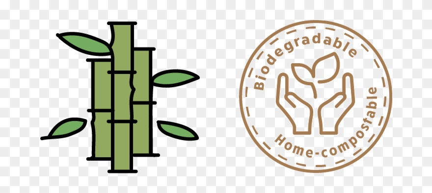 Biodegradable Bamboo Toothbrush - Toothbrush Clipart