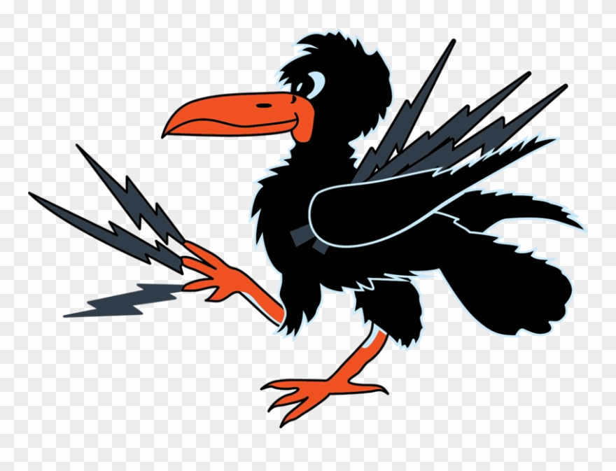 Ewo Crow - Bird Of Prey Clipart