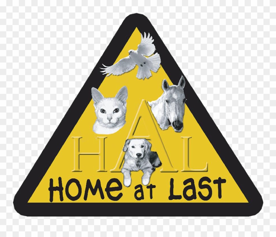 She Is Still A Loner But Has Blossomed - Poster Clipart