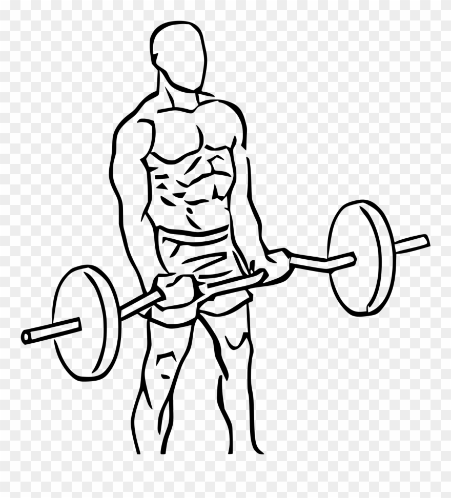 Deadlift Drawing Powerlifting Clip Art Freeuse Library - Cross Body Hammer Curl - Png Download