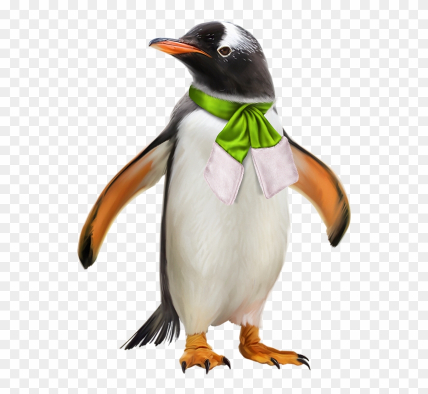 Banner Transparent Image Result For Penquin And Polar - Gentoo Penguin Clipart