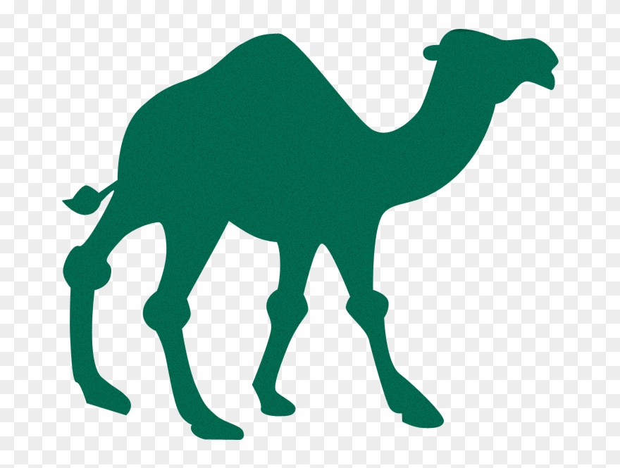 Bands And Artists With Animal Names - Camel Silhouette Clipart