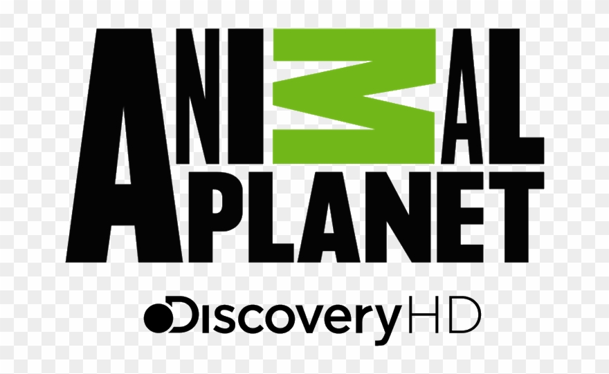 Animal Planet Hd Latinoamerica Logos De Aire Cable - Animal Planet Logo 2018 Clipart