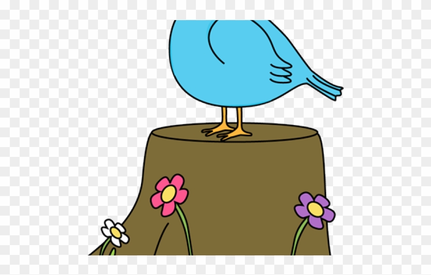 Clipart Bird On Tree - Png Download