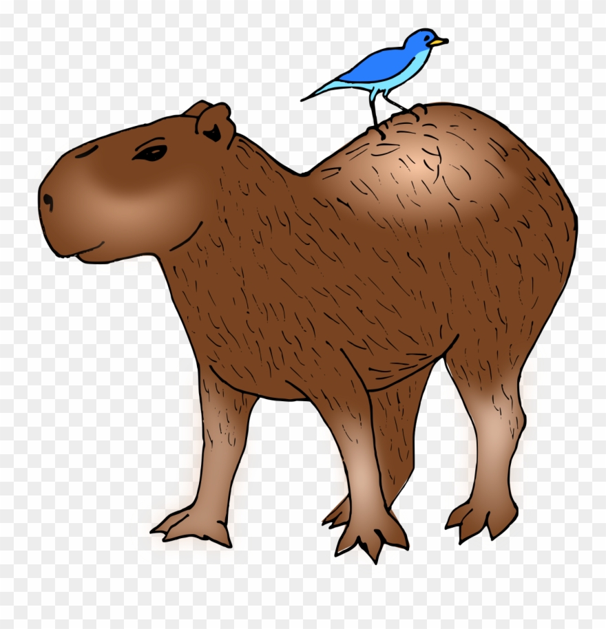 Big Image - Capybara Clipart - Png Download