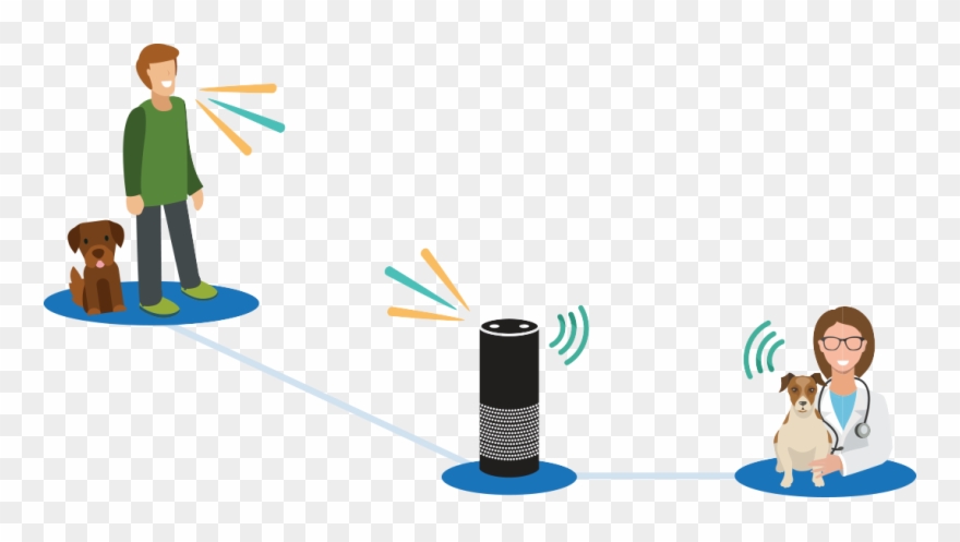 Once Mypetdoc Has Answered Your Questions, You Can - Illustration Clipart