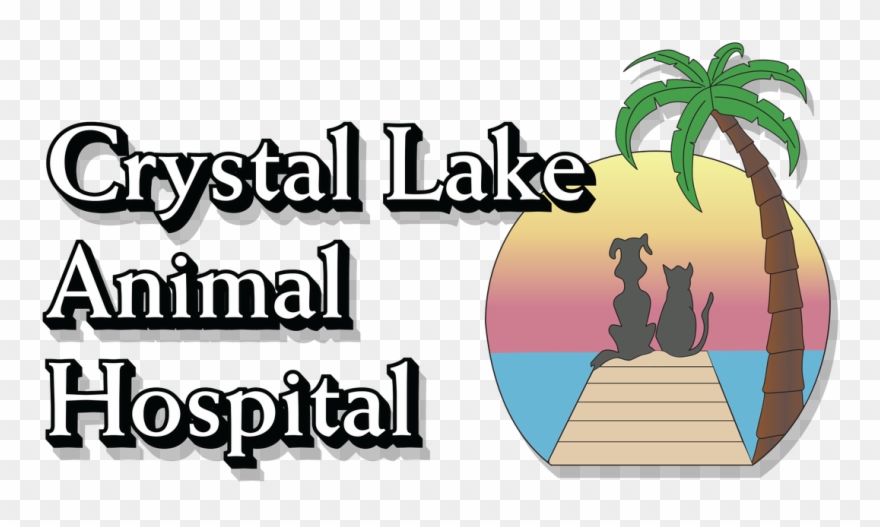 Crystal Lake Hospital Home Picture - Cartoon Clipart
