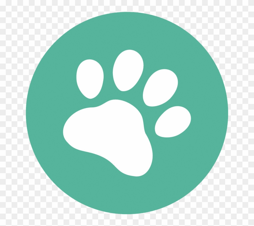 Newton Veterinary Hospital - Patte De Chien Bleu Clipart