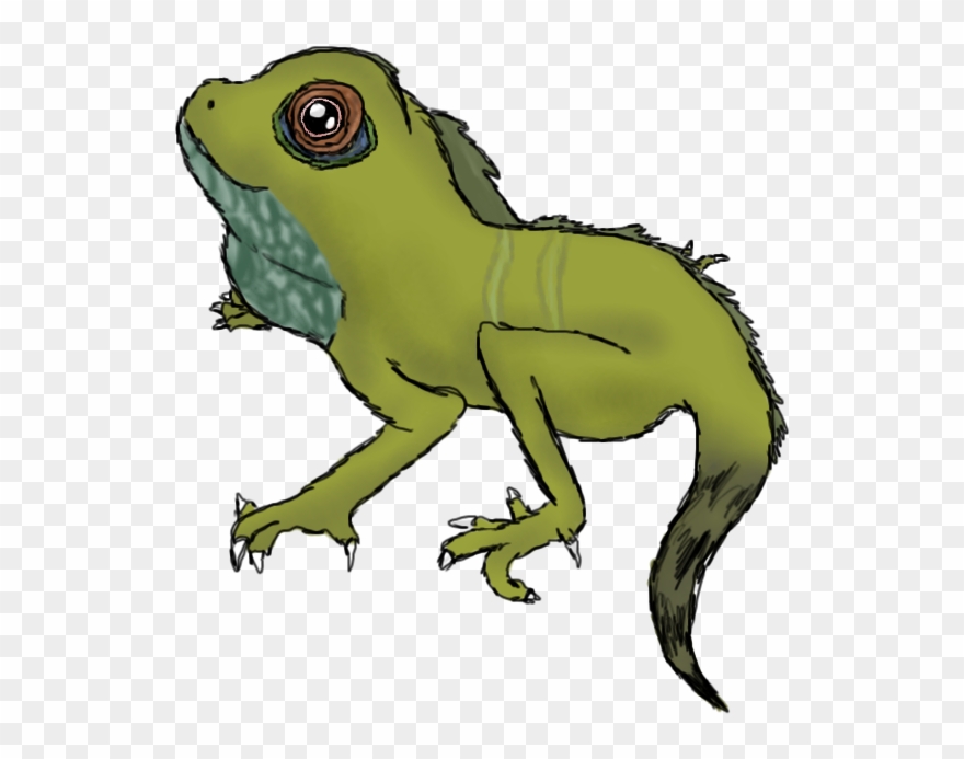 Waterdragonscale - - Chinese Water Dragons Drawings Clipart