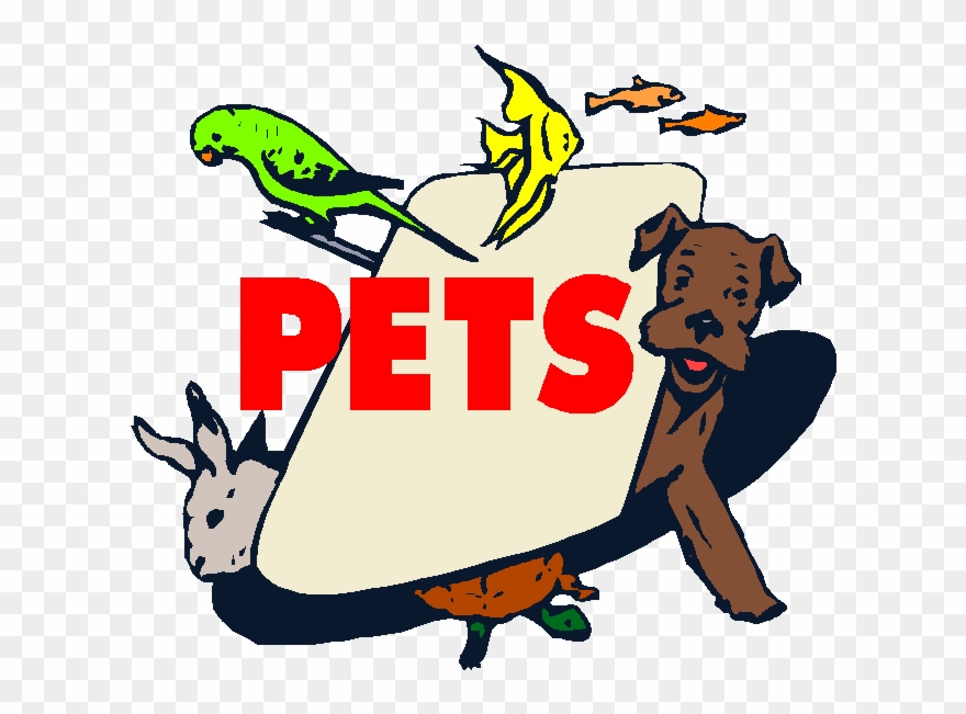 Pets - Pet Store Clipart