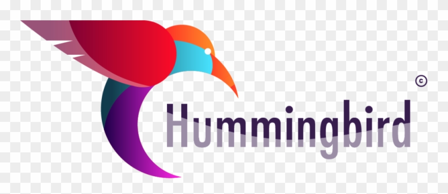 Humming Bird Logo Clipart
