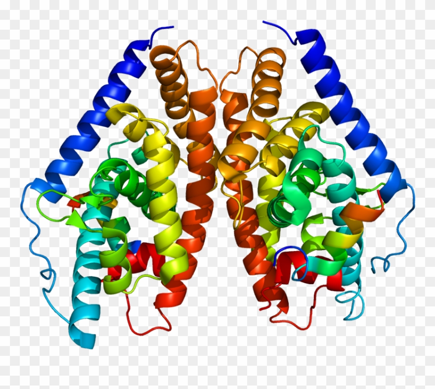 Liver X Receptor Beta Clipart