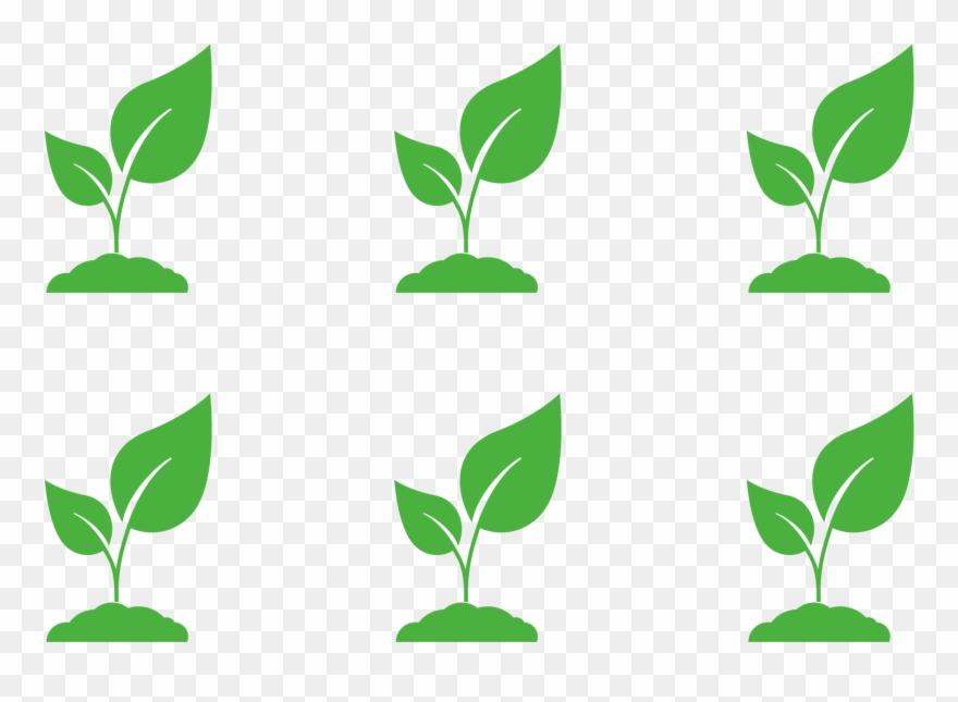 Estimate How Many Plants You Need For A Rectangular Clipart