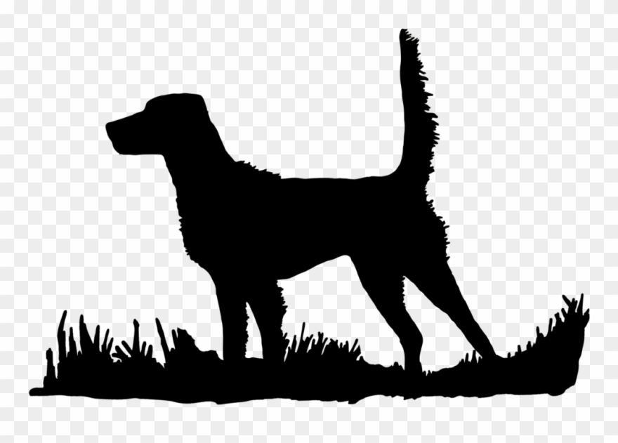 English Setter High Tail Bird Upland Hunting - Bird Dog Silhouette Clipart