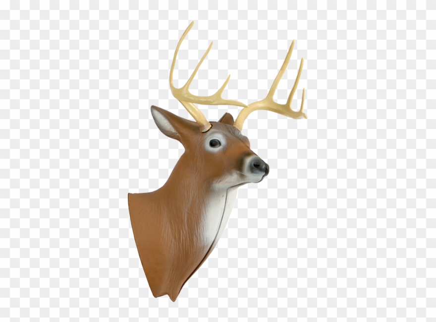 Clip Art Xl Deer 3d Archery Target Replacement Head - 3d Deer Target - Png Download
