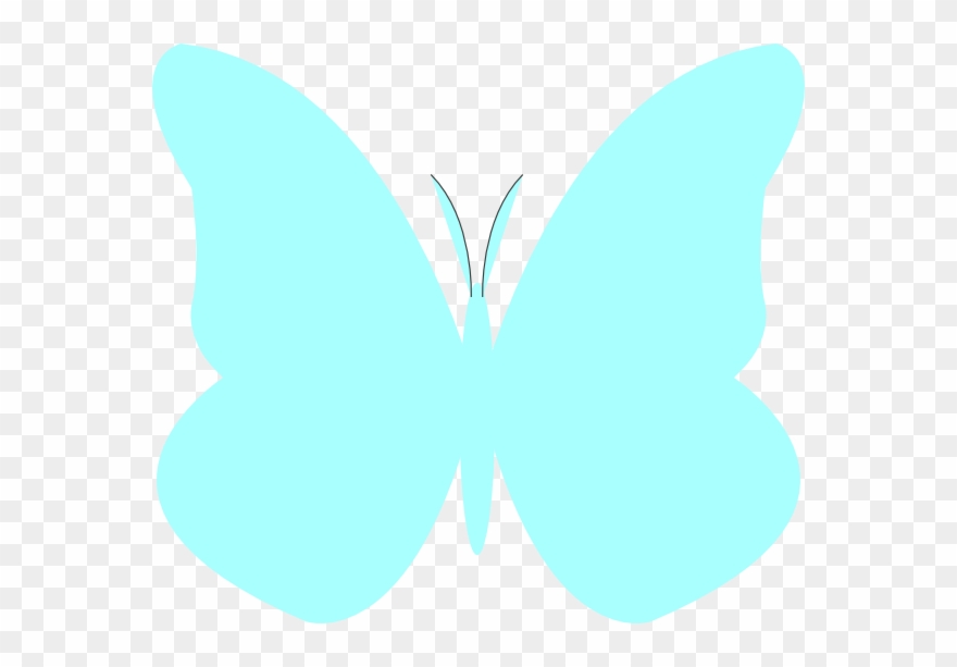 Turquoise Clipart Turquoise Butterfly - Turquoise Butterfly - Png Download