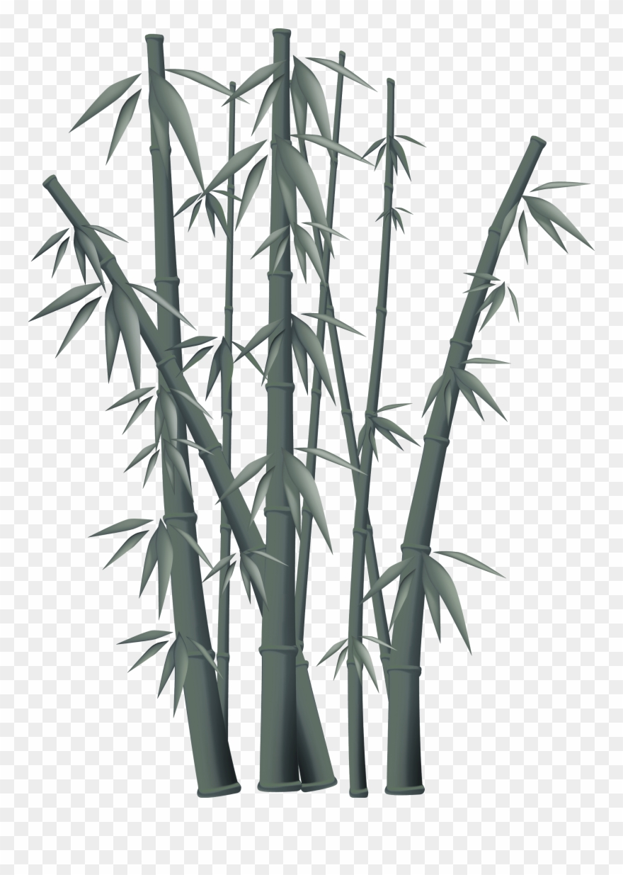 Bamboo Free Content Clip Art - Png Download