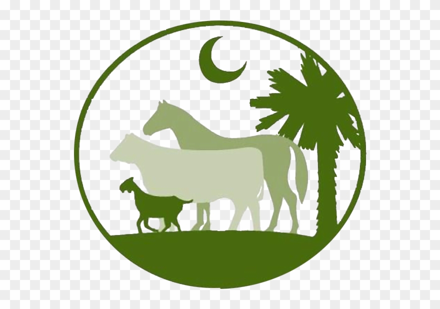 South Carolina Clipart