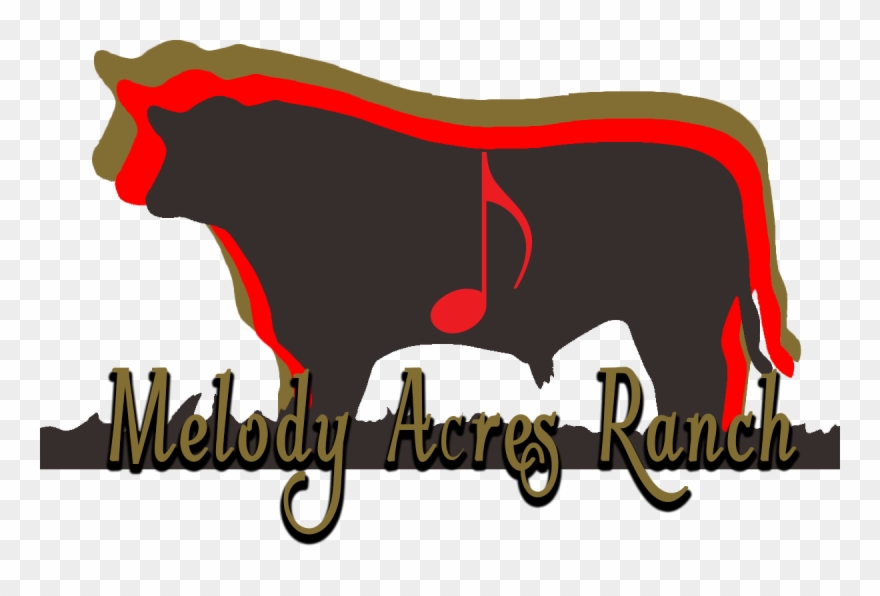 Melody Acres Ranch We Web Designer By - Livestock Clipart