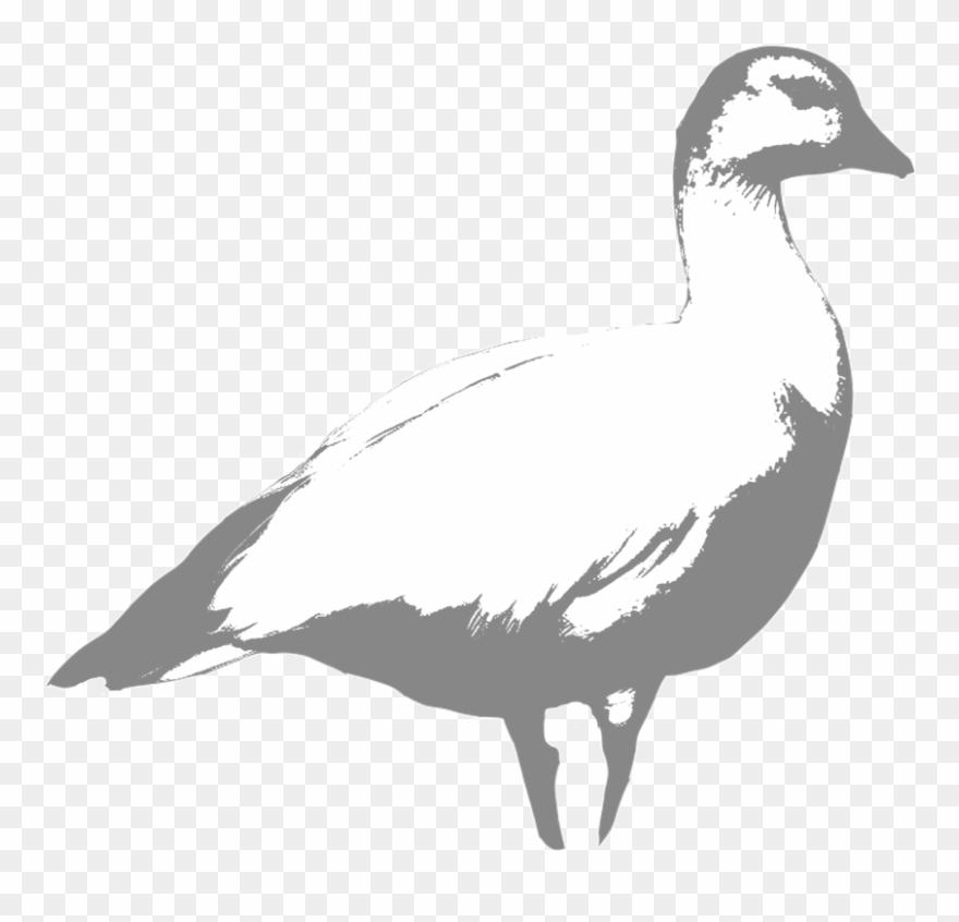 Ross - Portable Network Graphics Clipart