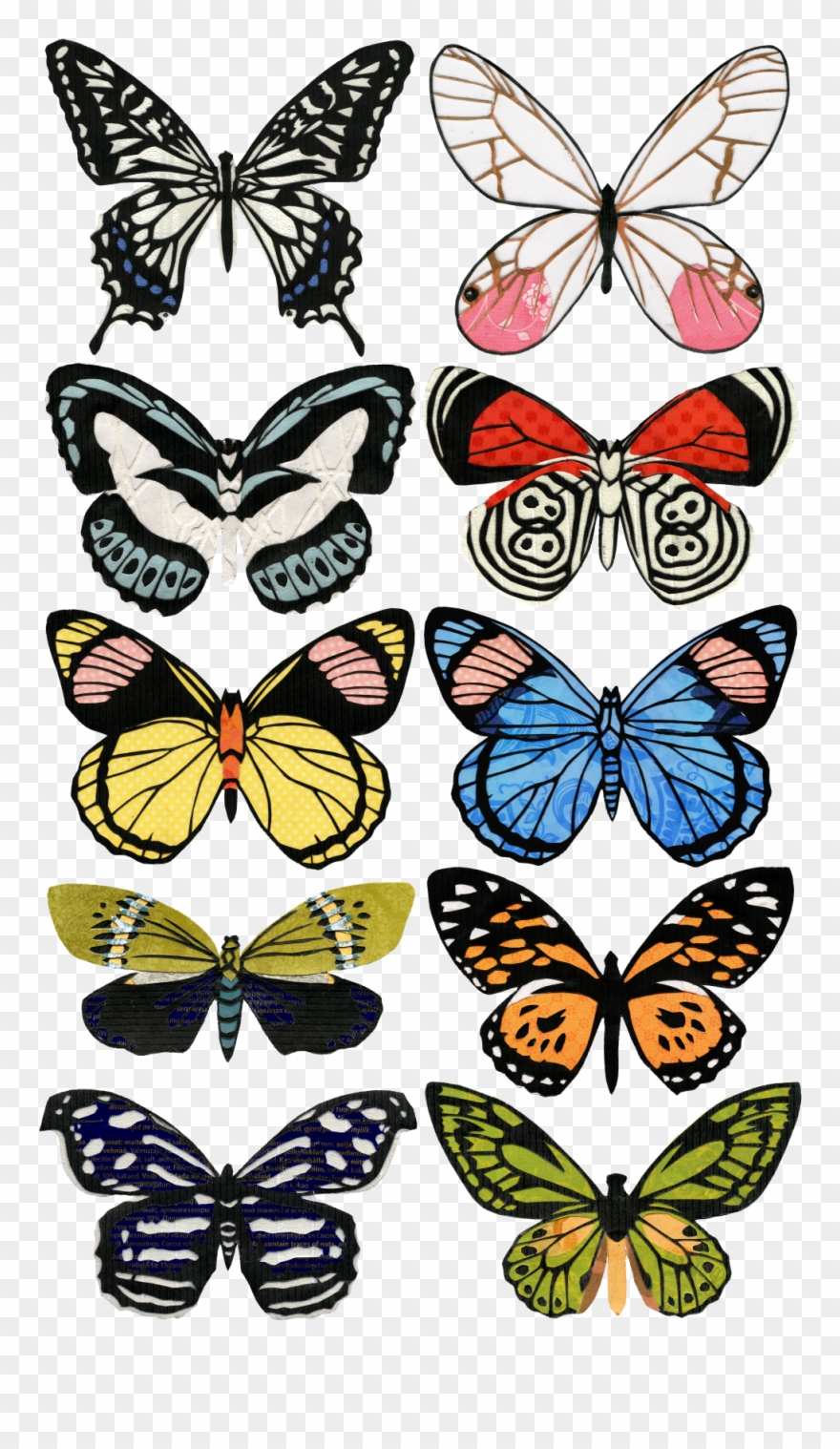 Butterfly Images, Butterflies, Clip Art, Handmade Crafts, - Papilio Machaon - Png Download