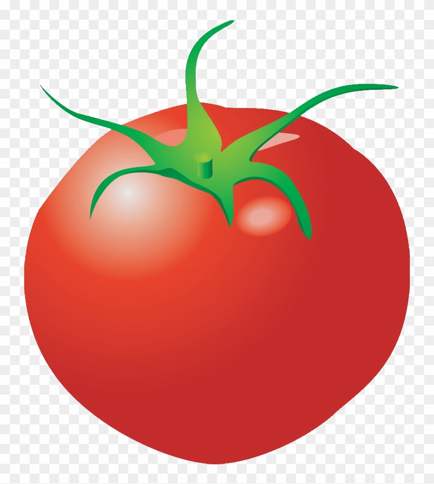 Clipart Vegetables Tomato - Verdura Png Dibujos Transparent Png