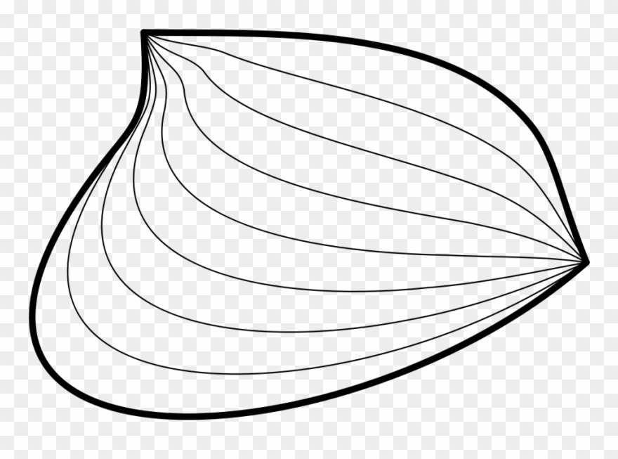 Homotopy Between Two Paths - Homotopia De Caminhos Clipart