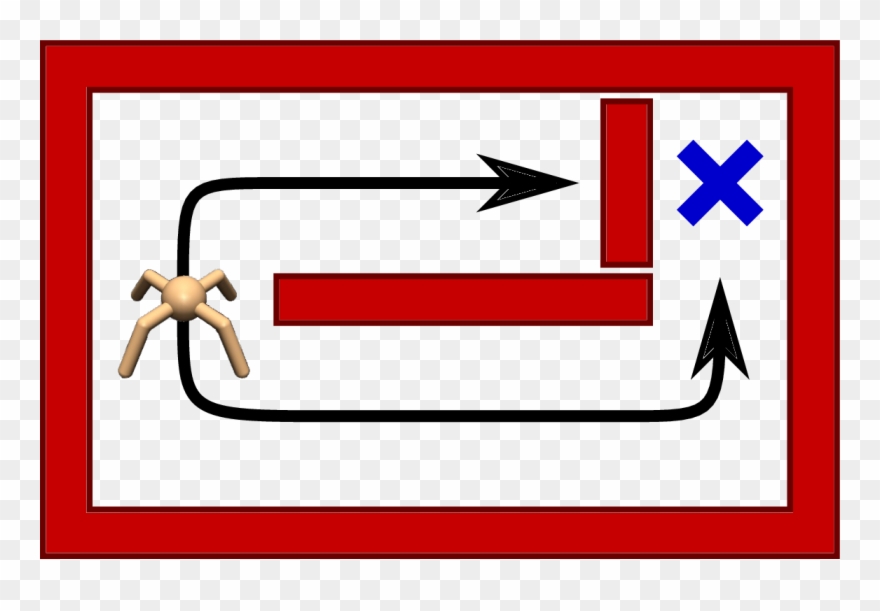 Maze Two Paths Clipart