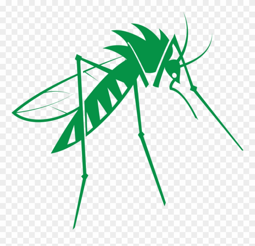 Mosquito - Pintadas Clipart