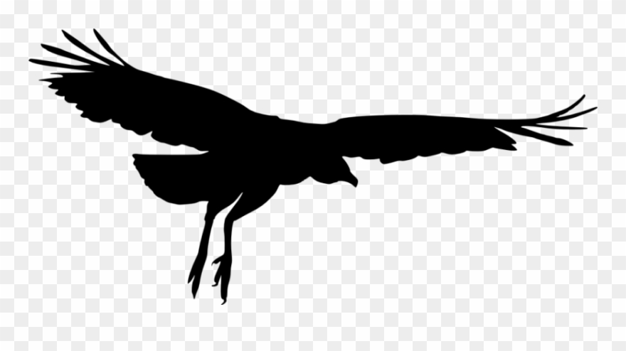 Bird Silhouette Png - Transparent Clipart Bird Silhouette