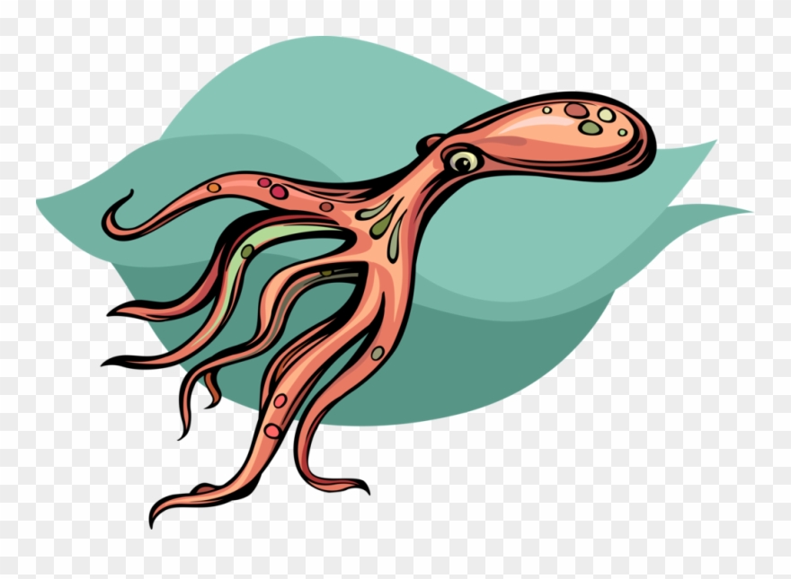 Clip Art Black And White Cephalopod Image Illustration - Illustration - Png Download