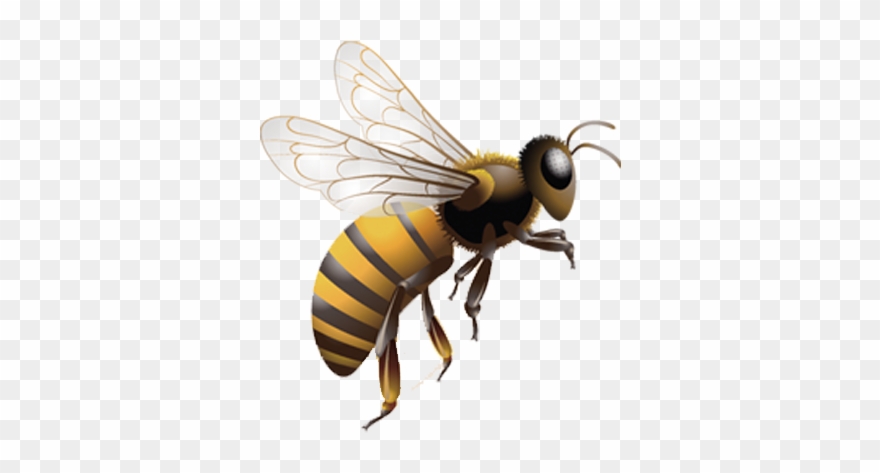 Jpg Library Honey Bee Insect Beehive Clip Art In - Honey Bee Jar - Png Download